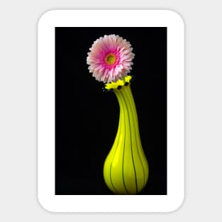 Fancy Unique Yellow Vase With Pink Gerbera Sticker